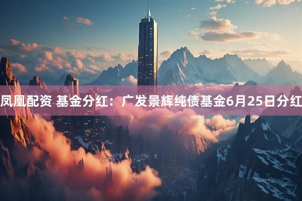 凤凰配资 基金分红：广发景辉纯债基金6月25日分红