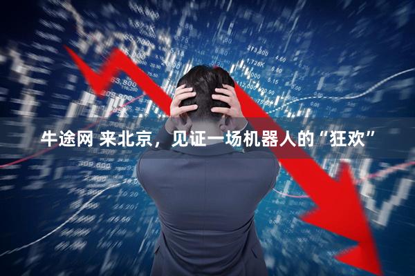 牛途网 来北京，见证一场机器人的“狂欢”